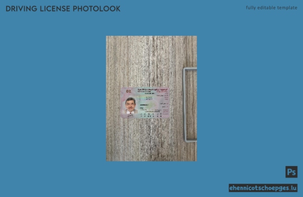 Beispielvorschau für das Foto des algerischen Führerscheins